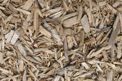 biomass boilers Stonewood